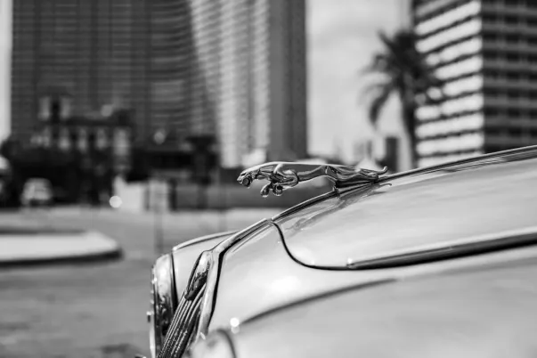 WagerWeb Kasino Apl Android/iOS